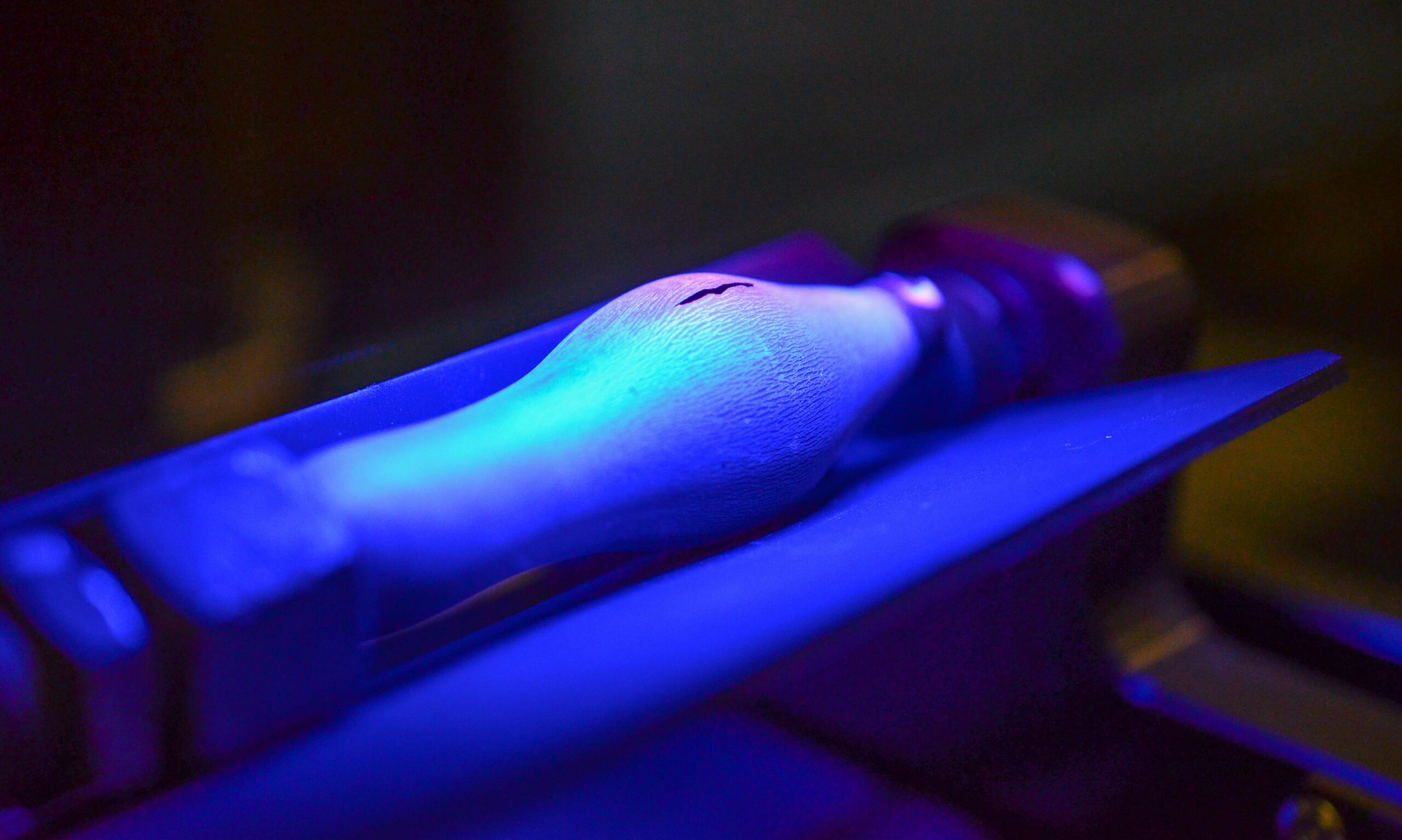 Fűtőelem_és_Reaktoranyagok_Laboratórium_20